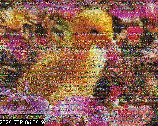 SSTV image from PA0041SWL_80M