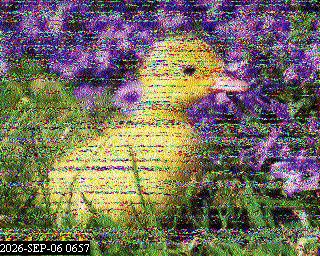 SSTV image from PA0041SWL_80M