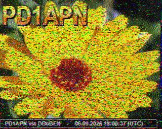 SSTV image from PC1K_2M
