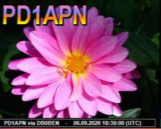 SSTV image from PC1K_2M
