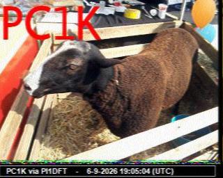 SSTV image from PC1K_2M