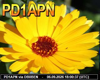 SSTV image from PI1DFT_2M