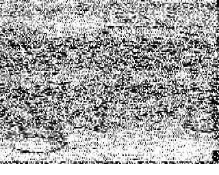 SSTV image from WF3F_20M