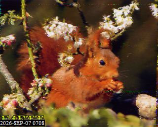 SSTV image from F4CYH_20M