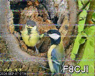 SSTV image from F4CYH_20M
