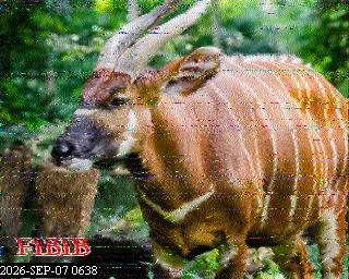SSTV image from PA0041SWL_80M