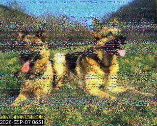 SSTV image from PA0041SWL_80M
