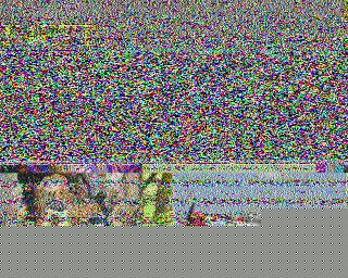 SSTV image from PA0041SWL_80M