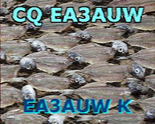 PA3EKI image#5